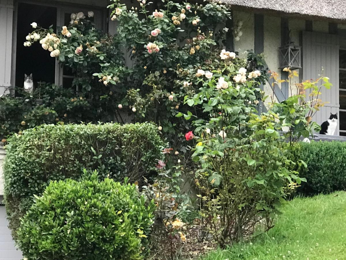 Bed and Breakfast Les Chaumieres Du Pays D'Auge Le Breuil-en-Auge Zewnętrze zdjęcie